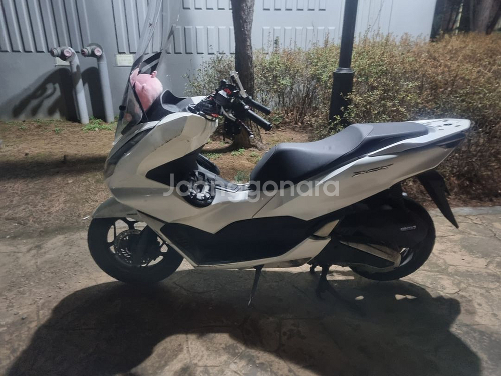 pcx125--2