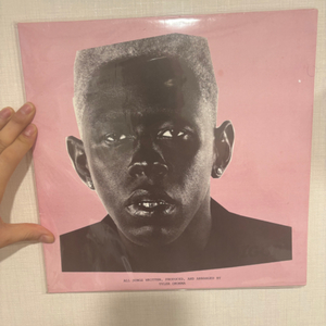 Tyler the Creator Igor (2 Lp)