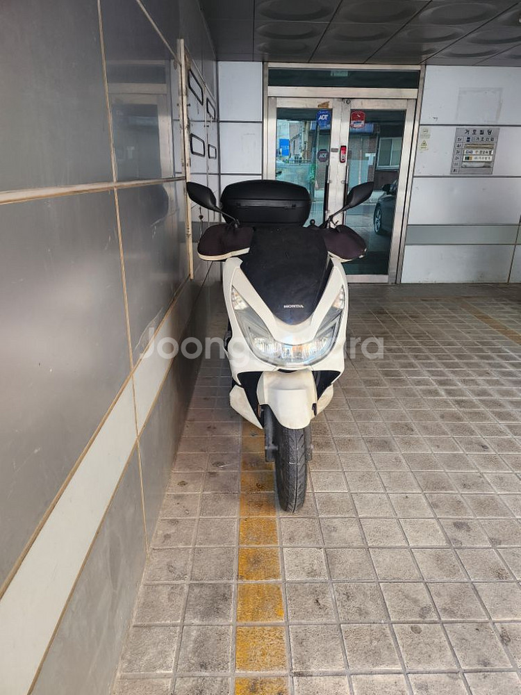 PCX125 15년식--1