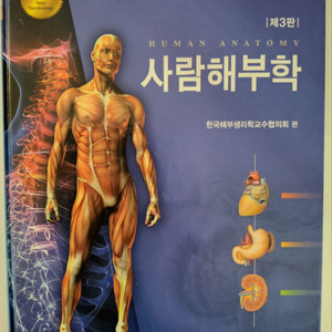 현문사 새용어 사람해부학 2012년판 A급