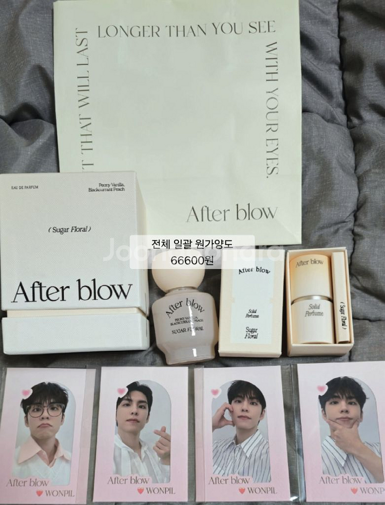 데이식스 굿즈 데니멀즈 쁘띠멀즈 인형 응원봉 앨범--5