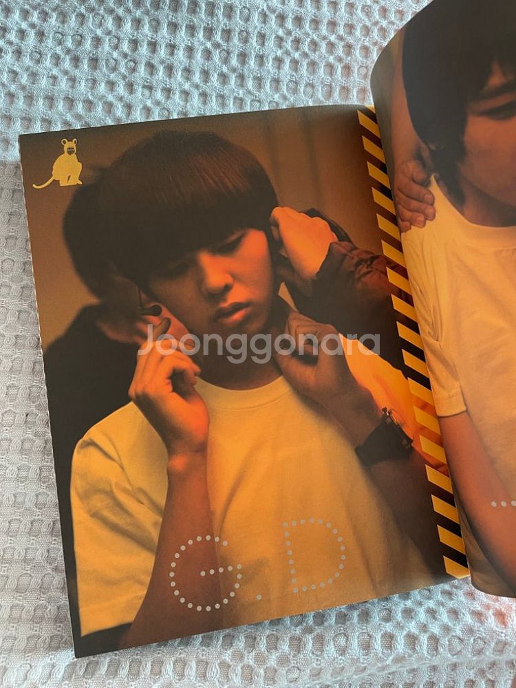 빅뱅 2008 GREAT 콘서트 DVD--3