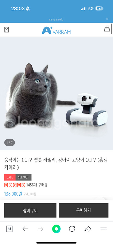 앱봇라일리--1