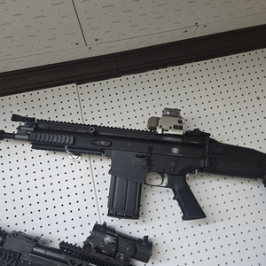 WE : scar-h