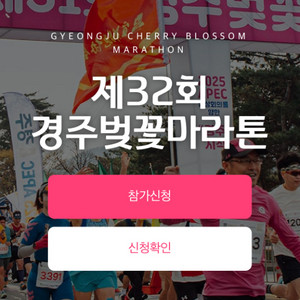 경주벚꽃마라톤 10km 여자 삽니다