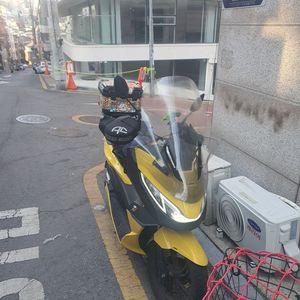 젠트로피오토바이