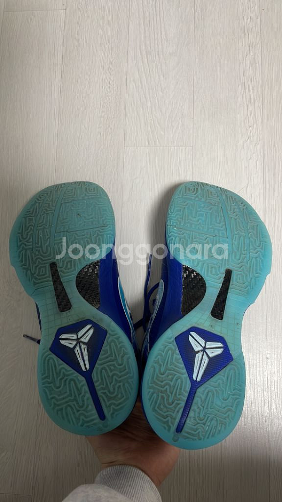 코비 5 엑스레이 265--2