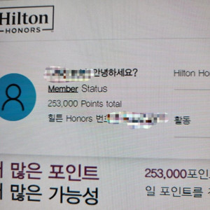 힐튼 포인트 253000점