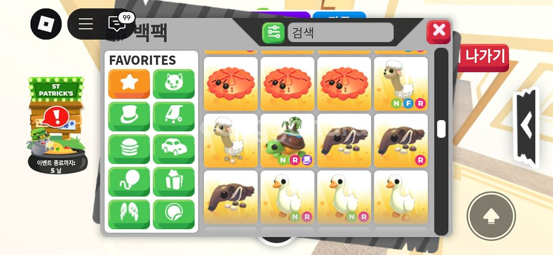입양하세요 희귀펫--5