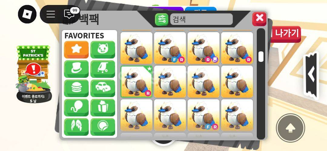 입양하세요 희귀펫--3