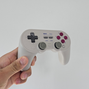 8bitdo pro2 게임패드