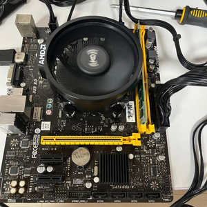 AMD 3000G, A320m 보드, 램 세트