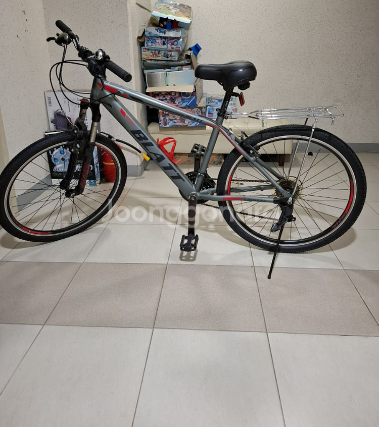 블라트 자전거--0