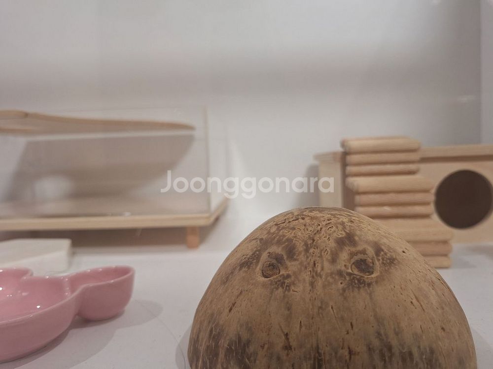 햄스터 케이지 120(햄스터 용품, 먹이 모두포함)--2