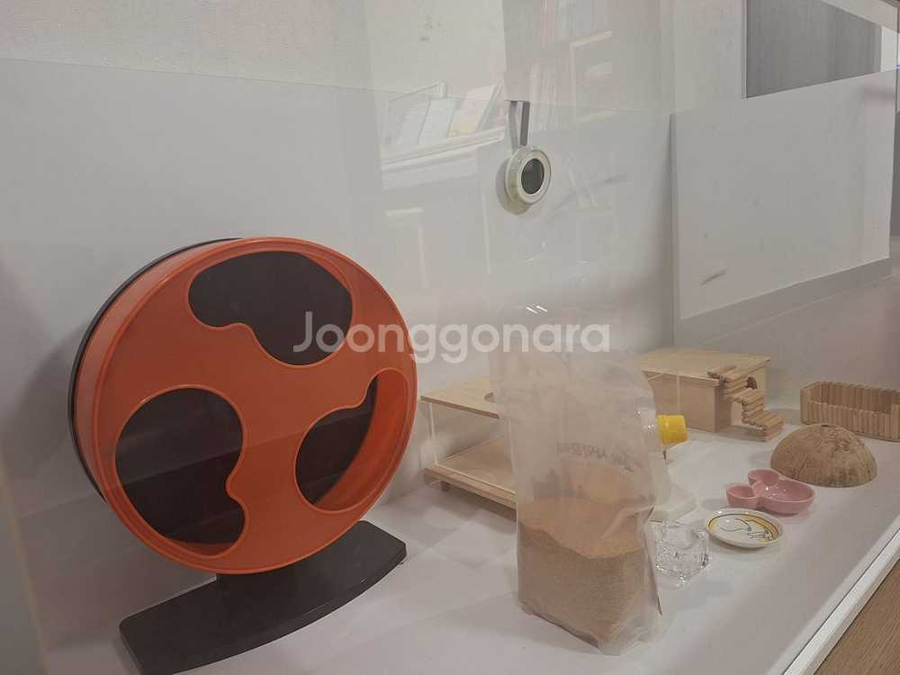 햄스터 케이지 120(햄스터 용품, 먹이 모두포함)--7