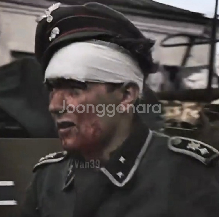 제2차세계대전 나치 독일군 SS 전차장용 정모 네고가능--7