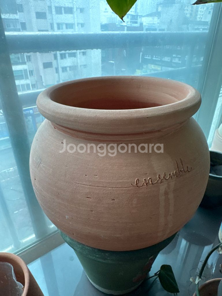 두갸르송토분--0