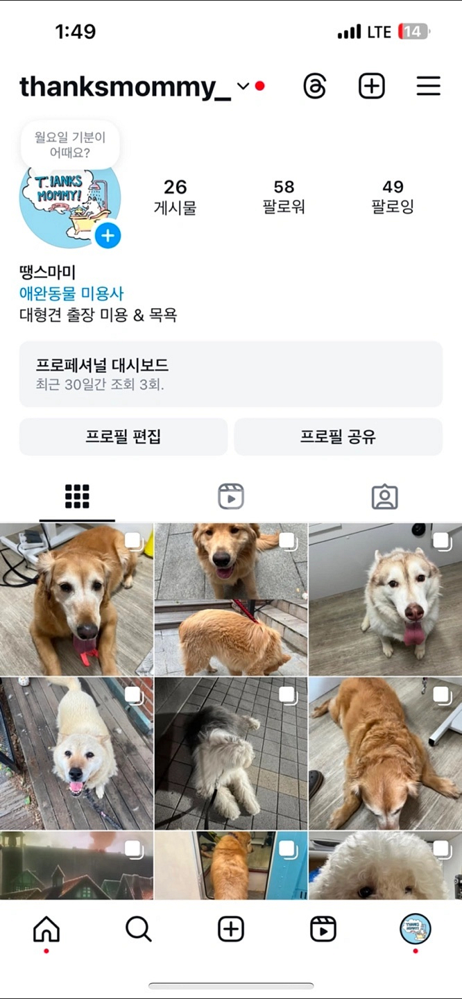 아이패드 프로 13 M4칩 256GB 스페이스블랙--5