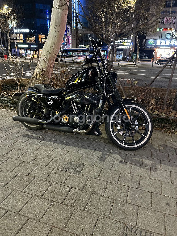 할리데이비슨 아이언883 17년식--3