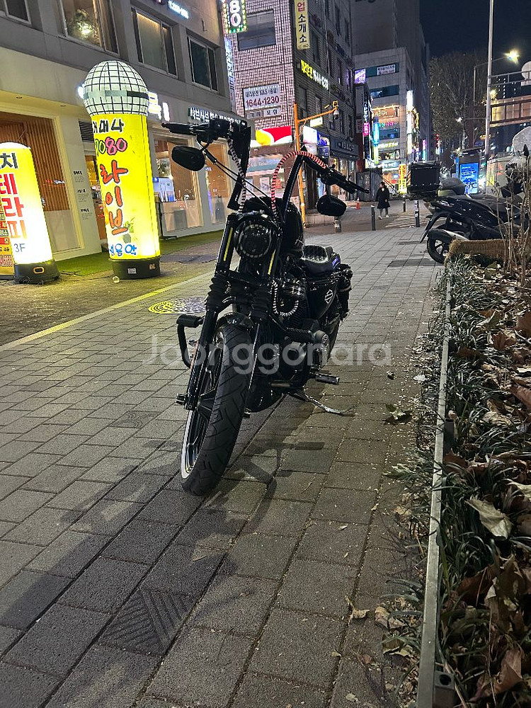 할리데이비슨 아이언883 17년식--4