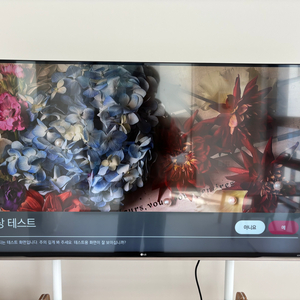 LG 55인치 UHD(55UF8570) + 이젤 거치대