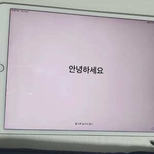 아이패드 프로 2세대 셀룰러 256G