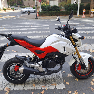 혼다 MSX125SF 중고 (상태최상)