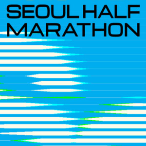 2025 서울하프마라톤 양도 받습니다(10Km)