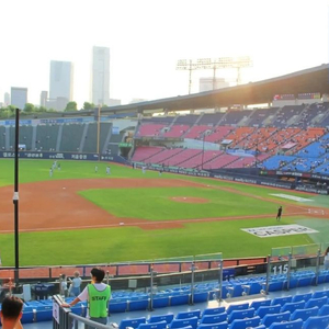 3/25(화) 한화 vs LG 219블럭 통로2칸옆