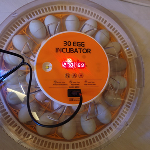 30구 자동 부화기 미개봉