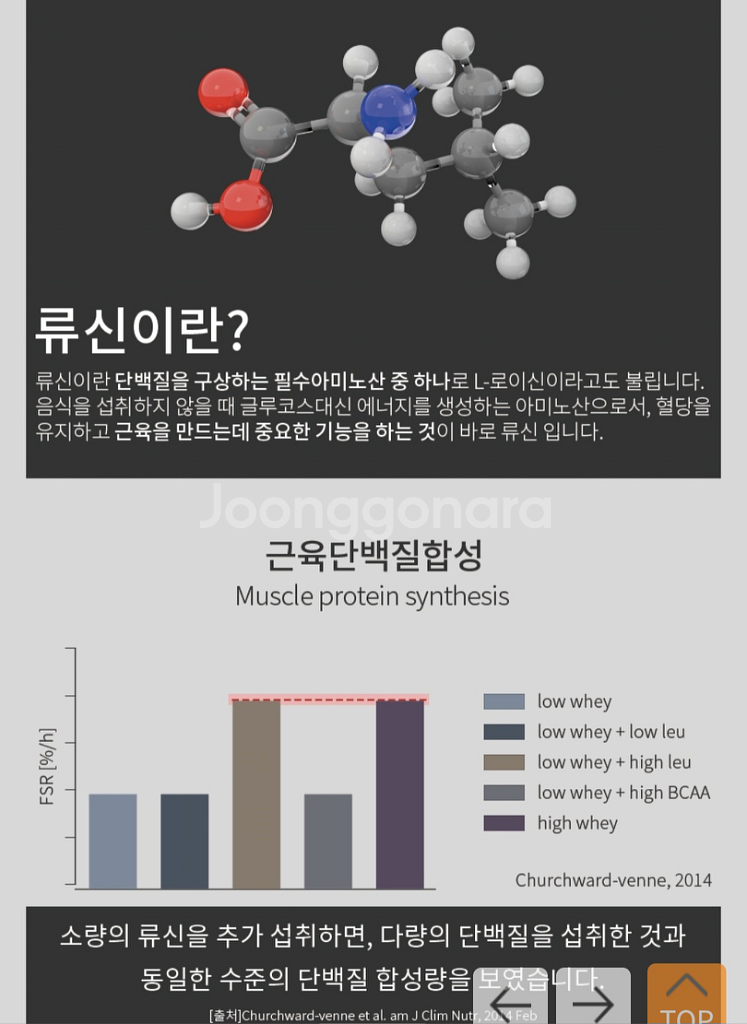 (2통)고함량 단백질 뉴네이처 류신, L로이신40%--7