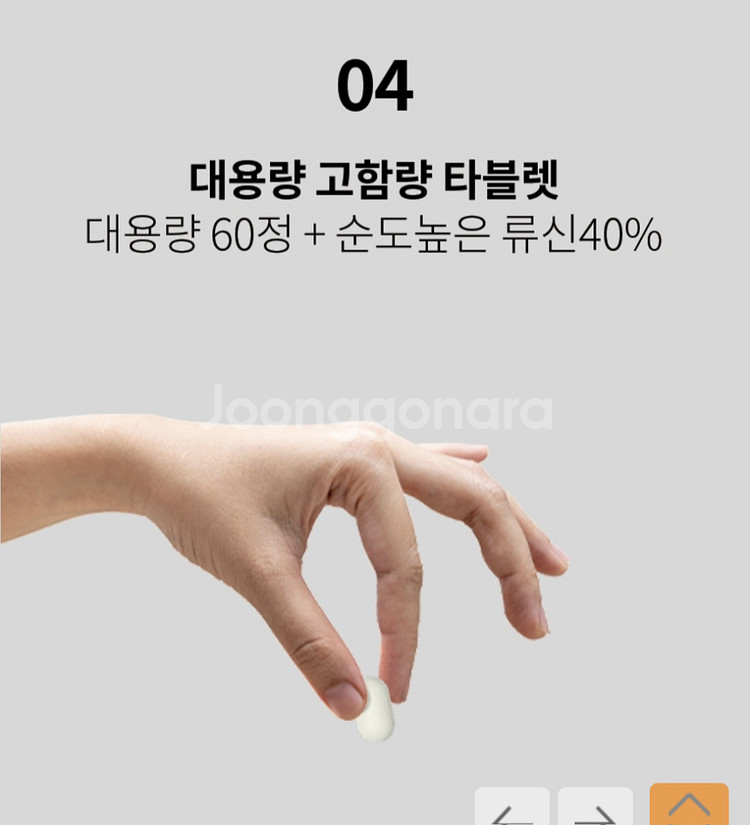 (2통)고함량 단백질 뉴네이처 류신, L로이신40%--3
