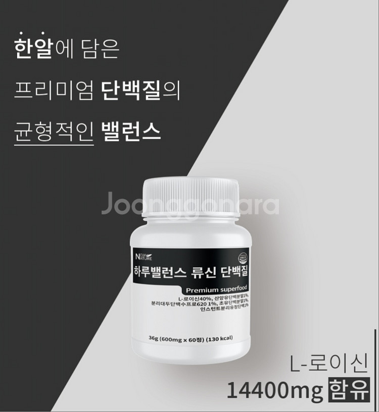 (2통)고함량 단백질 뉴네이처 류신, L로이신40%--6