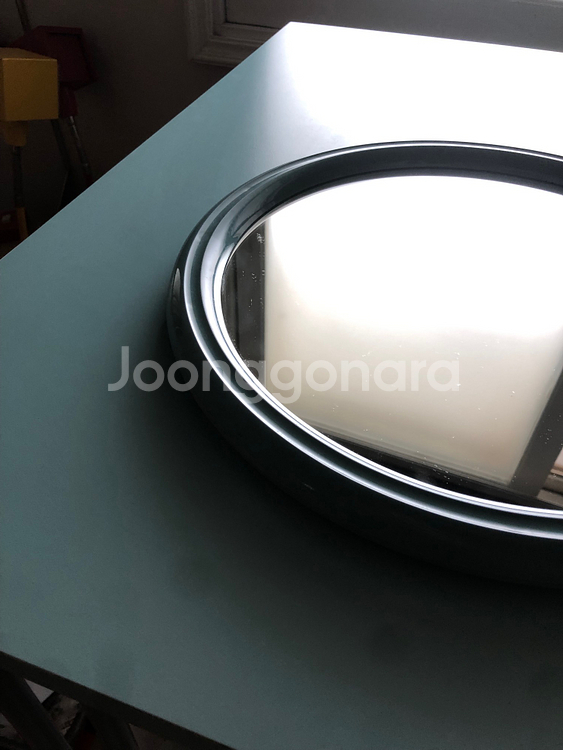 Tiger Holland Vintage mirror--2