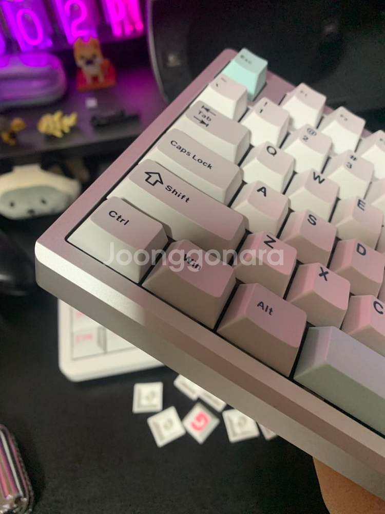 SC Bridge75 브릿지75 Plus--2