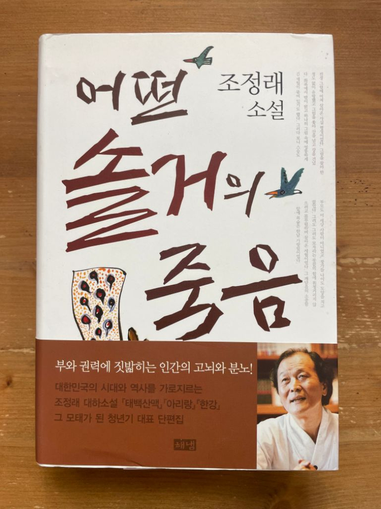 어떤 솔거의 죽음 - 조정래--0