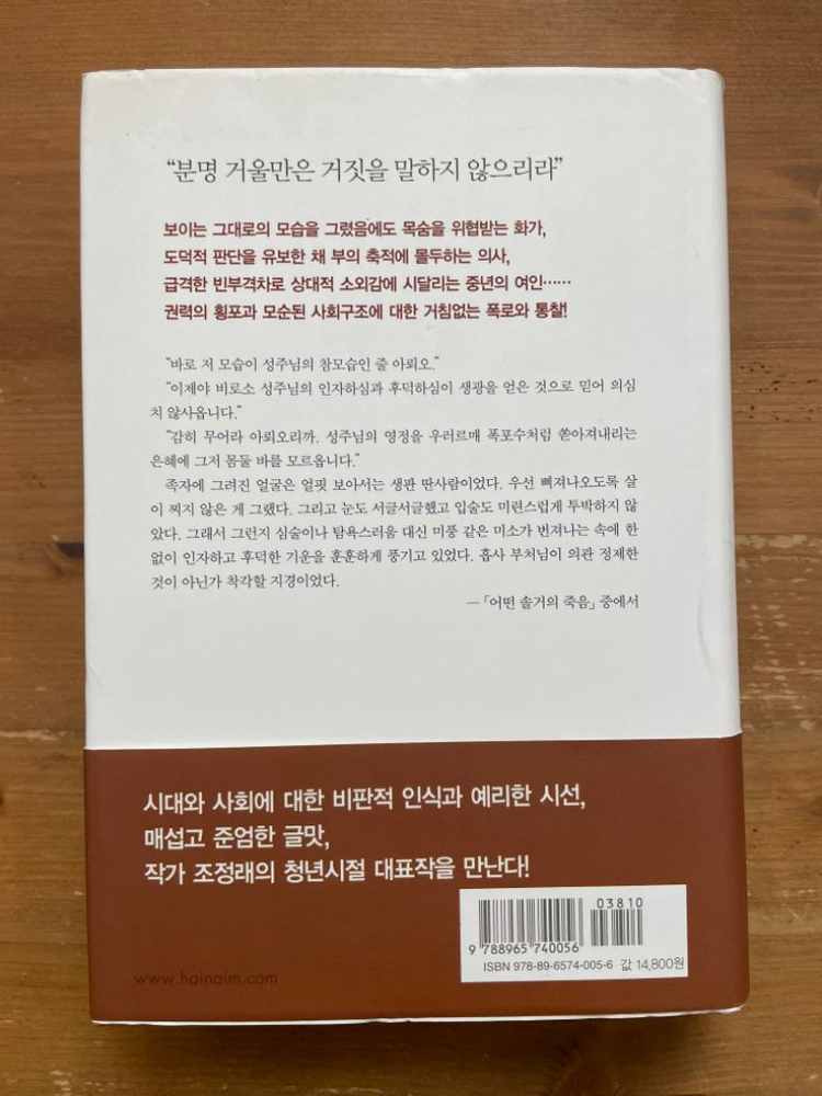 어떤 솔거의 죽음 - 조정래--1
