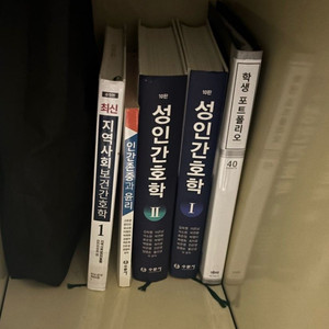 성인간호학 10판 (수문사)