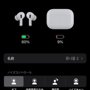 에어팟 프로 2 (C타입)