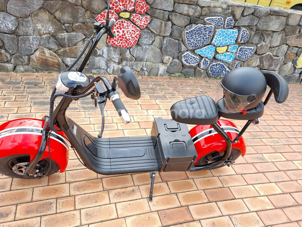 할리전기스쿠터--1