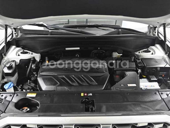 @20년식 팰리세이드 2.2 디젤 AWD 프레스티지--5