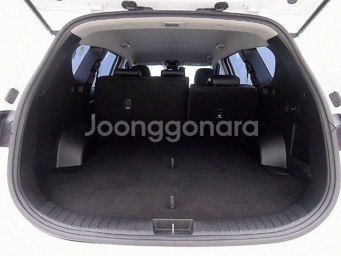 @21년식 더 뉴싼타페 디젤 2.2 AWD 프리미엄--4