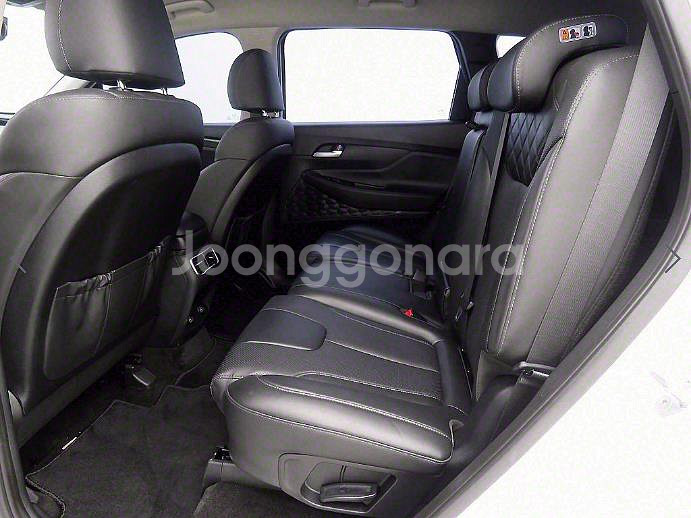 @21년식 더 뉴싼타페 디젤 2.2 AWD 프리미엄--6