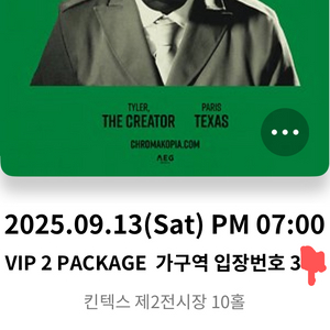 타일러 더 크리에이터 내한 콘서트 vip 2 가