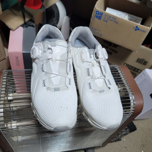 프로스펙스 보아 운동화 260