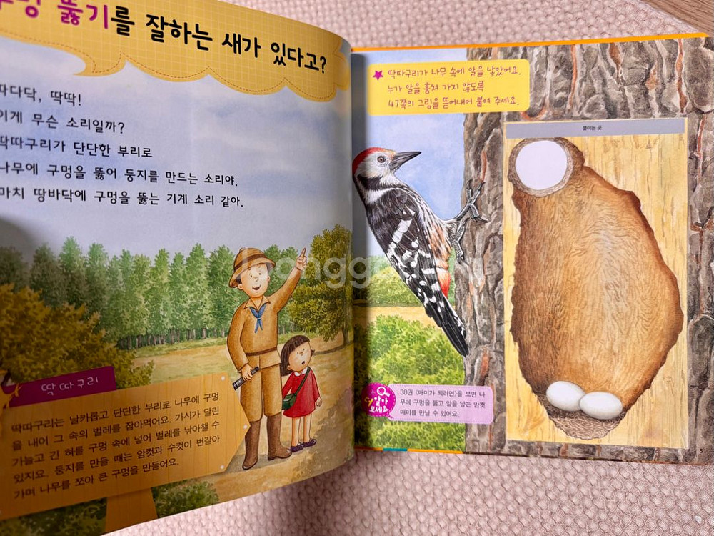 교원 자연이 소곤소곤--4