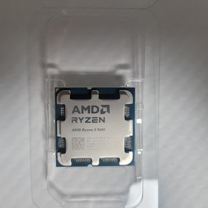 AMD 라이젠 9600 (Non x)