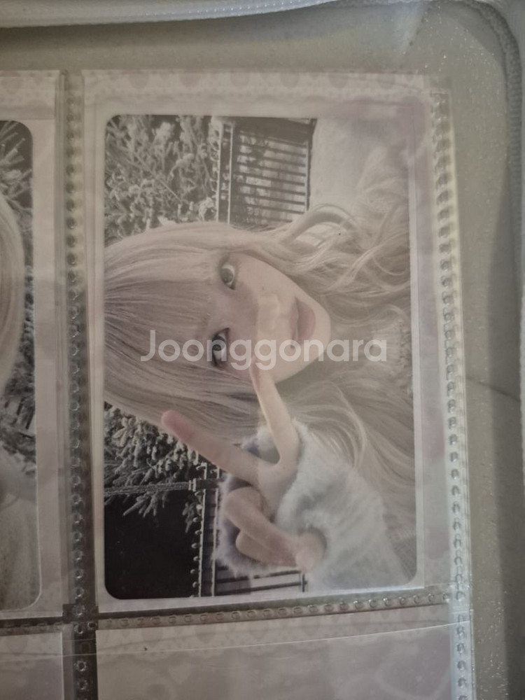 아이브 포카 일괄--1