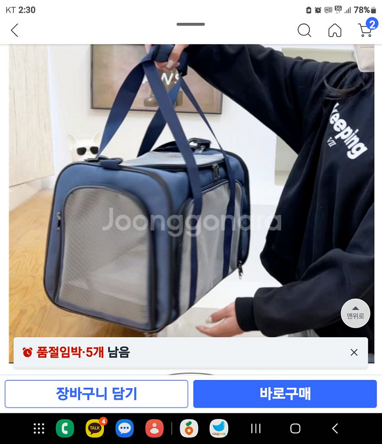 반려동물 이동가방 백팩--1