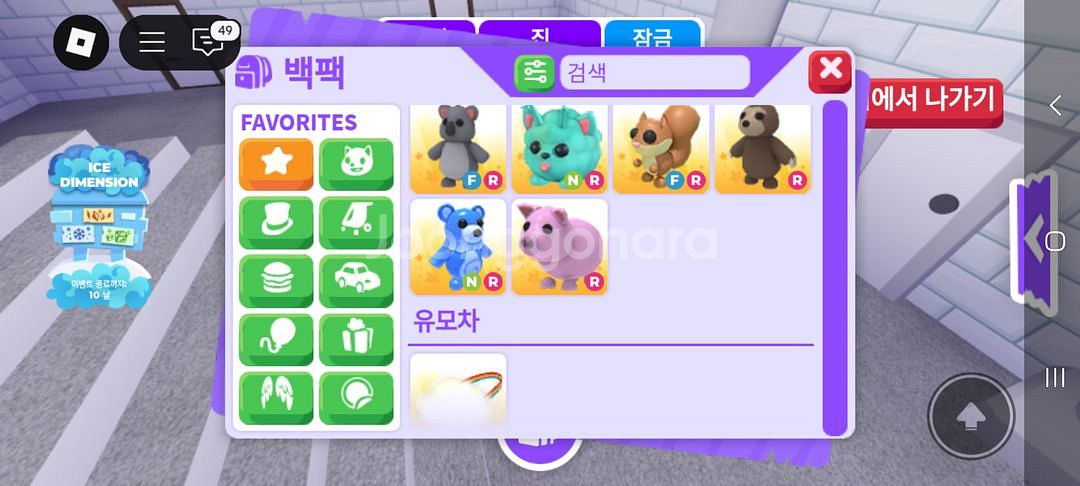 입양하세요 펫 팔아요--1